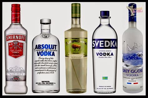 Votka markaları